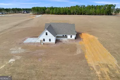 3514 Hwy 121 Highway, Blackshear, GA 31516 - Photo 44