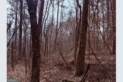 967 Old Highway 100, Waco, GA 30182 - Photo 2