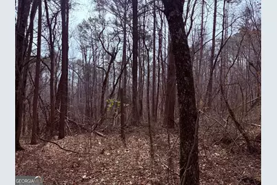 967 Old Highway 100, Waco, GA 30182 - Photo 1