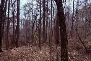 967 Old Hwy 100, Waco, GA 30182 - Photo 1