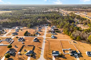 512 Colquitt Ln, Statesboro, GA 30458 - Photo 46