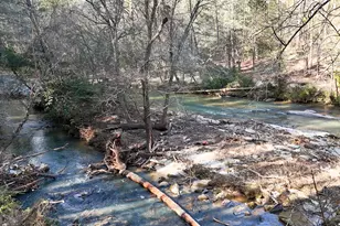 499 Old Deer Path Way, Cleveland, GA 30528 - Photo 26