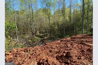 1993 Valley Woods Drive, Riverdale, GA 30296 - Photo 8