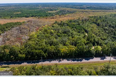 4.41 Acres Highway 17, Townsend, GA 31331 - Photo 4