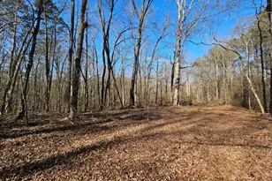 Lot 2 Manning Gin Rd, Winder, GA 30680 - Photo 1