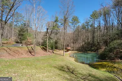 Lot 46 Utana Bluffs Trail, Ellijay, GA 30540 - Photo 36
