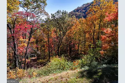 Lot 46 Utana Bluffs Trail, Ellijay, GA 30540 - Photo 10
