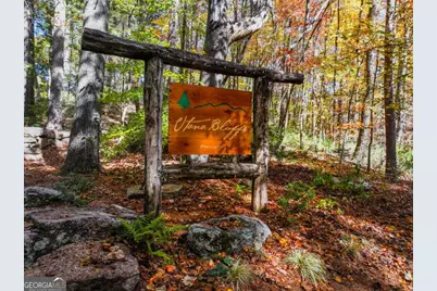 Lot 46 Utana Bluffs Trail, Ellijay, GA 30540 - Photo 22