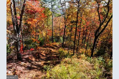 Lot 46 Utana Bluffs Trail, Ellijay, GA 30540 - Photo 4
