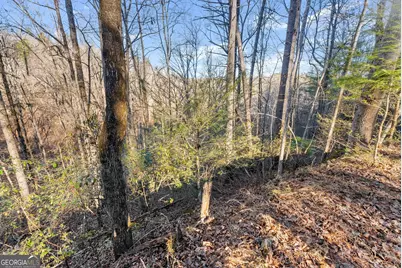 0 River View Lot 13 Trail W, Dahlonega, GA 30533 - Photo 22