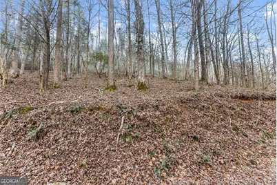 0 River View Lot 13 Trail W, Dahlonega, GA 30533 - Photo 28