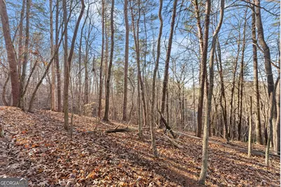 0 Golden Lot 5 Avenue, Dahlonega, GA 30533 - Photo 8