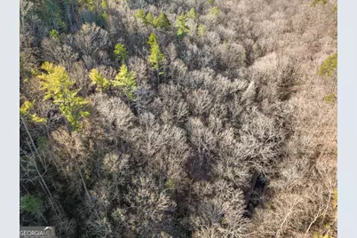 0 River View Lots 12 & 13 Trail W, Dahlonega, GA 30533 - Photo 44