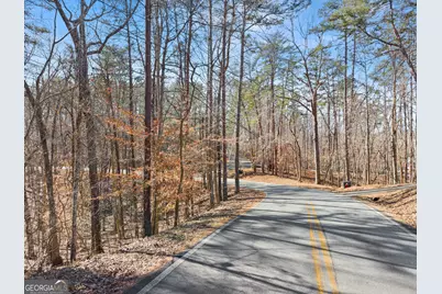 0 Golden Avenue, Dahlonega, GA 30533 - Photo 20