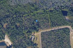 305 Worthington Dr, Ludowici, GA 31316 - Photo 1