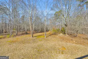 1079 Hardeman Farm Rd, Carnesville, GA 30521 - Photo 10