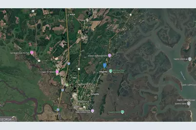 1200 Blackbeard Lane, Darien, GA 31305 - Photo 4