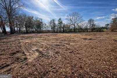 4539 Lewis Church Road, Millen, GA 30442 - Photo 1
