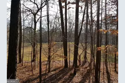 104 Hawks Court, Ball Ground, GA 30107 - Photo 4