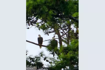 104 Hawks Court, Ball Ground, GA 30107 - Photo 6