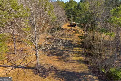 91 Almetie Drive, Toccoa, GA 30577 - Photo 58