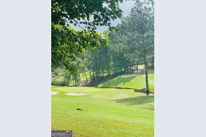 120 Hawks Court, Ball Ground, GA 30107 - Photo 2