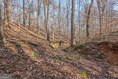 0 Winford Smith Road #15, Athens, GA 30607 - Photo 10