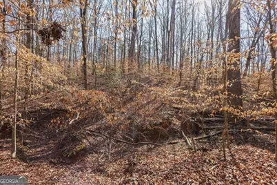 0 Winford Smith Road #15, Athens, GA 30607 - Photo 8