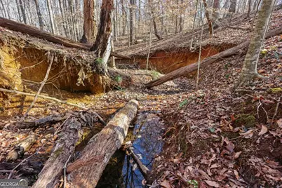 0 Winford Smith Road #15, Athens, GA 30607 - Photo 6