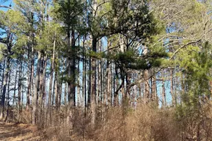 0 Padgett Rd, Senoia, GA 30276 - Photo 1