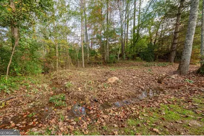 114 Bear Bend, Blairsville, GA 30512 - Photo 12