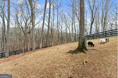 6008 Serene Circle, Gainesville, GA 30506 - Photo 56