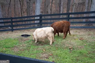6008 Serene Cir, Gainesville, GA 30506 - Photo 54