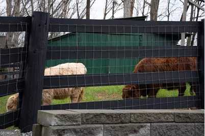 6008 Serene Circle, Gainesville, GA 30506 - Photo 38
