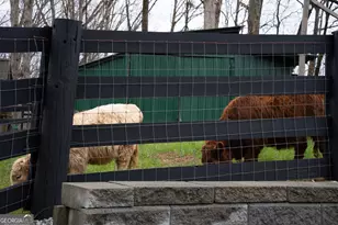 6008 Serene Cir, Gainesville, GA 30506 - Photo 38