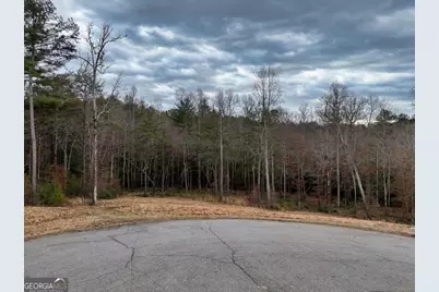 Lt 28/29 New Water Way, Blairsville, GA 30512 - Photo 6