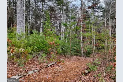 Lt 28/29 New Water Way, Blairsville, GA 30512 - Photo 24