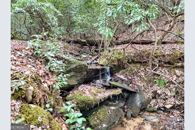 Lt 28/29 New Water Way, Blairsville, GA 30512 - Photo 4