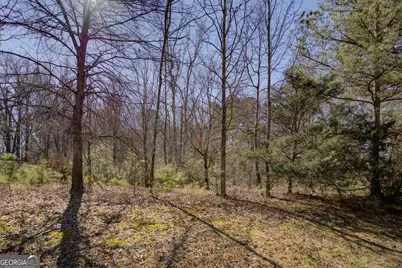 79 Sidney Lanier Drive, Oxford, GA 30054 - Photo 4