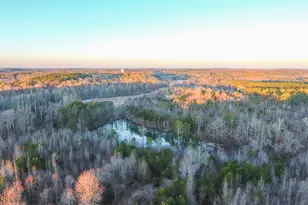 0 Wildcat Rd, Buchanan, GA 30113 - Photo 1