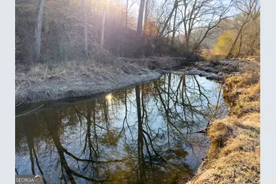 0 Wildcat Road, Buchanan, GA 30113 - Photo 46