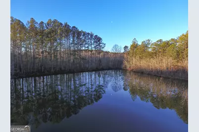 0 Wildcat Road, Buchanan, GA 30113 - Photo 12