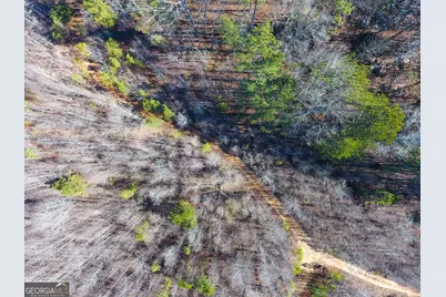 0 Wildcat Road, Buchanan, GA 30113 - Photo 20