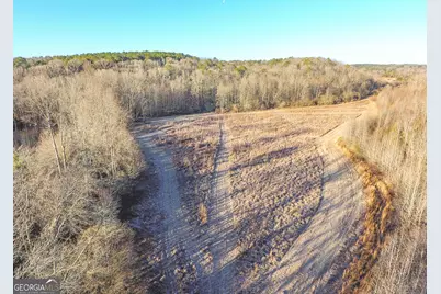 0 Wildcat Road, Buchanan, GA 30113 - Photo 16