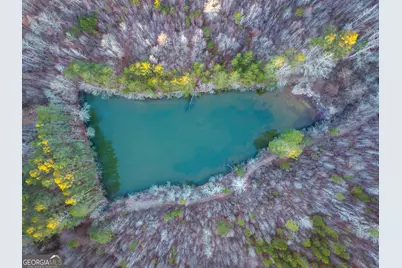 0 Wildcat Road, Buchanan, GA 30113 - Photo 10