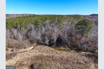 0 Wildcat Road, Buchanan, GA 30113 - Photo 40