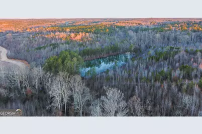 0 Wildcat Road, Buchanan, GA 30113 - Photo 6