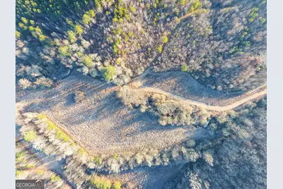 0 Wildcat Road, Buchanan, GA 30113 - Photo 18