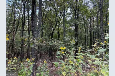 0 Little Hendricks Mountain, Jasper, GA 30143 - Photo 2