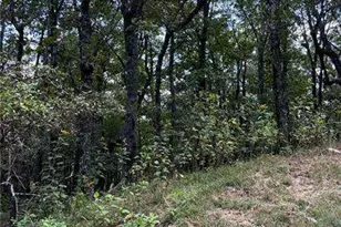 0 Little Hendricks Mountain, Jasper, GA 30143 - Photo 1